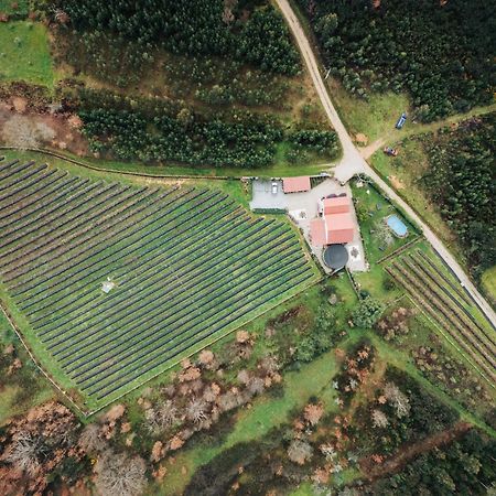 Apartmán Quinta Vale Salgueiro Seia Exteriér fotografie