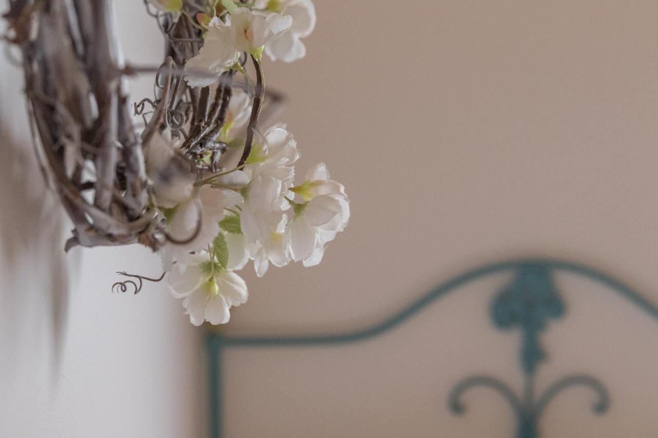Apartmán Quinta Vale Salgueiro Seia Exteriér fotografie