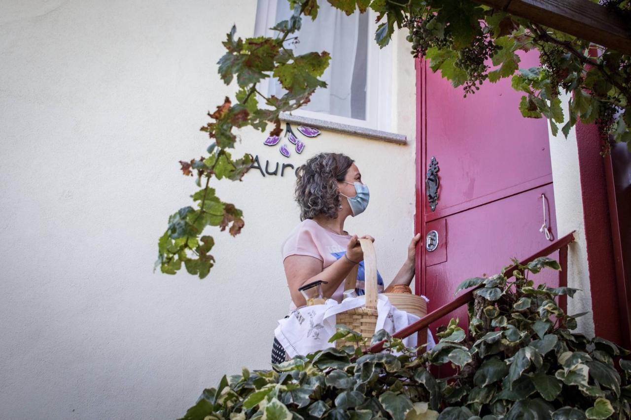 Apartmán Quinta Vale Salgueiro Seia Exteriér fotografie