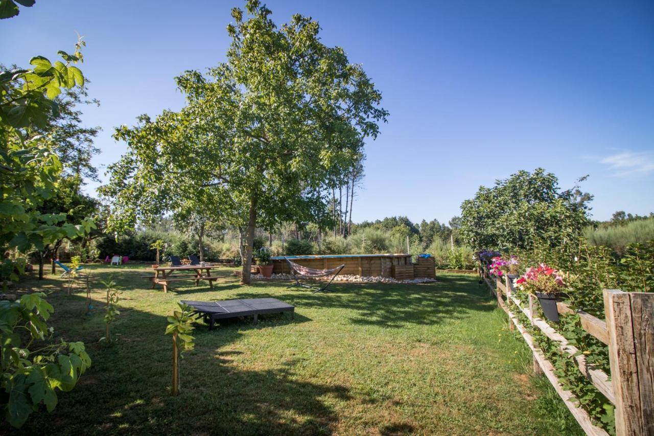 Apartmán Quinta Vale Salgueiro Seia Exteriér fotografie