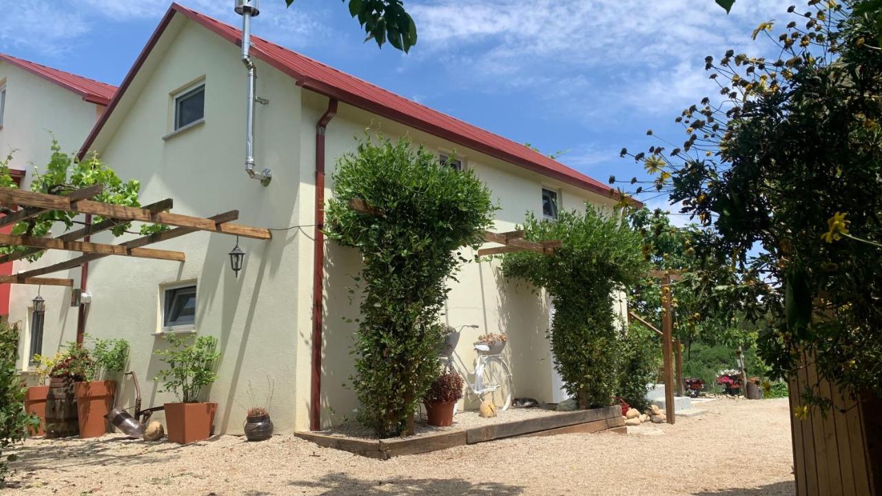 Apartmán Quinta Vale Salgueiro Seia Exteriér fotografie
