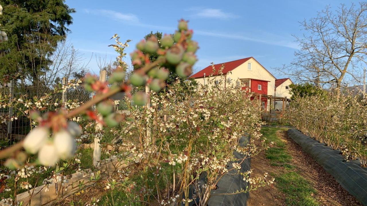 Apartmán Quinta Vale Salgueiro Seia Exteriér fotografie