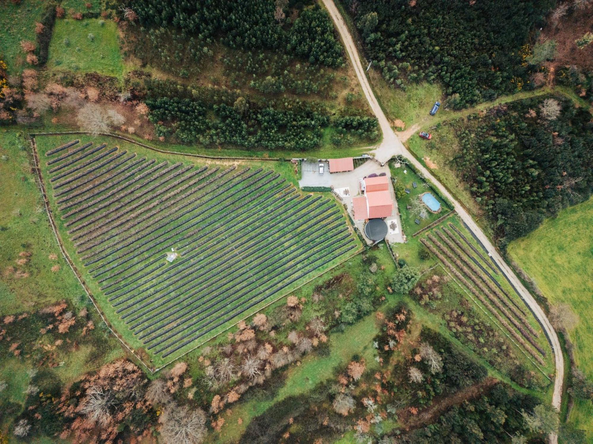 Apartmán Quinta Vale Salgueiro Seia Exteriér fotografie