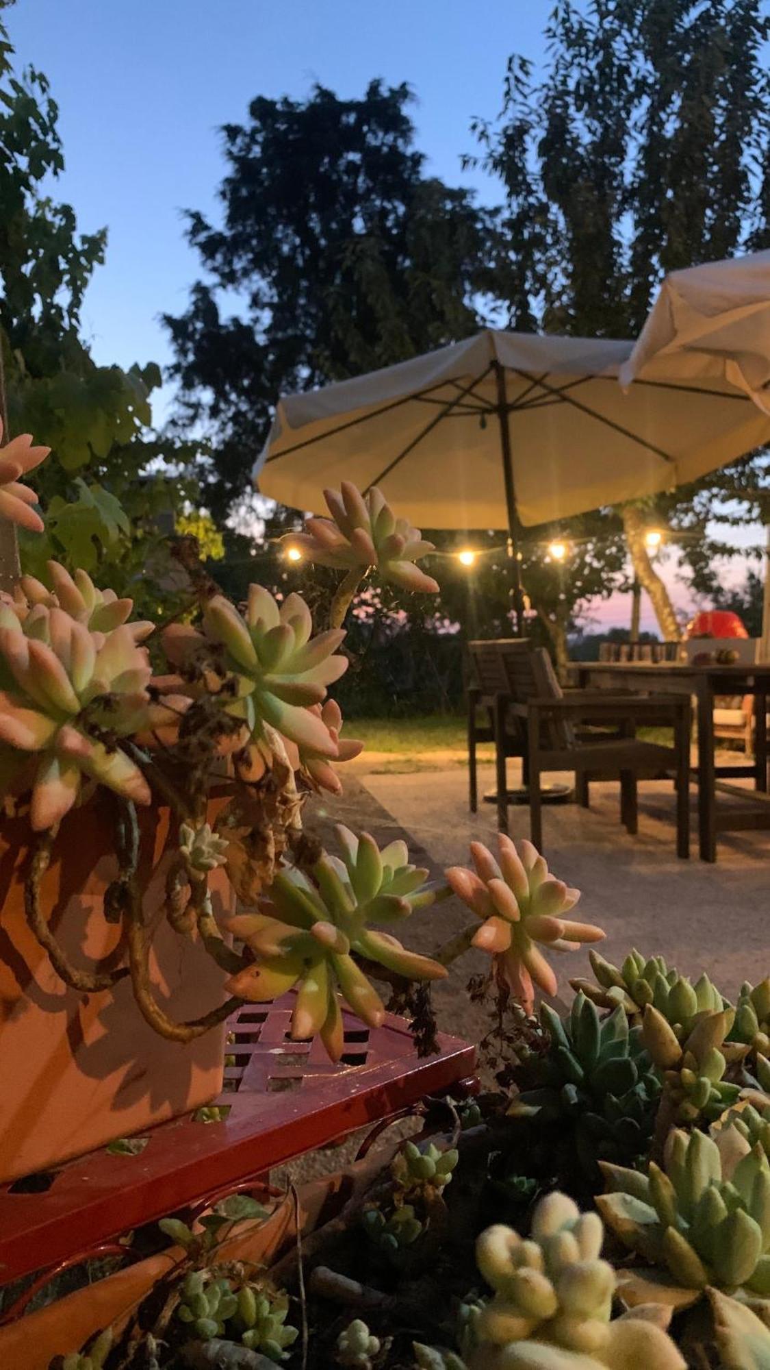 Apartmán Quinta Vale Salgueiro Seia Exteriér fotografie