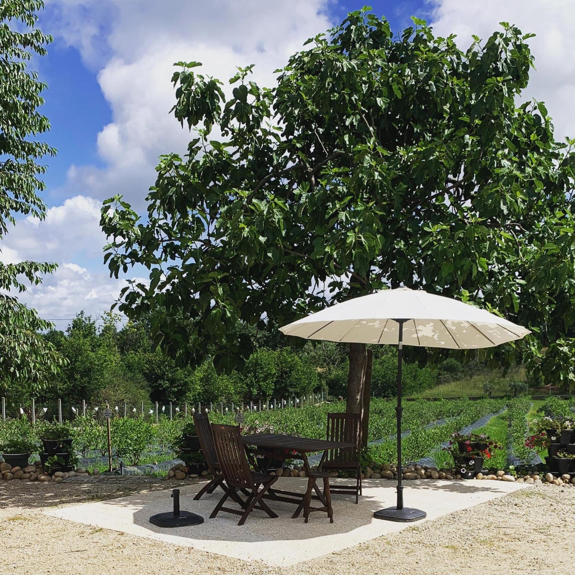 Apartmán Quinta Vale Salgueiro Seia Exteriér fotografie